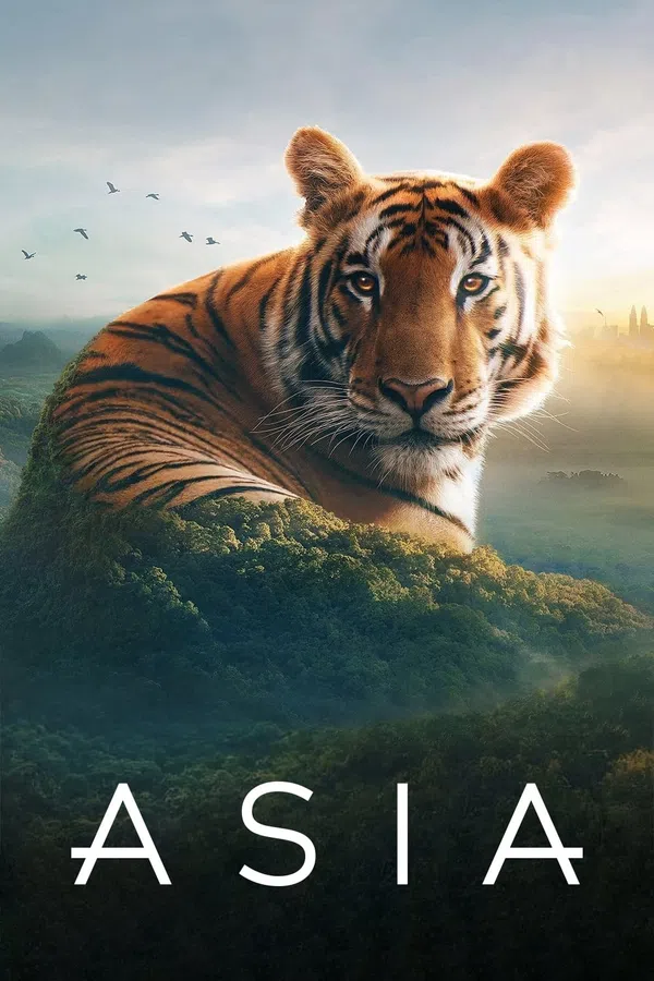 Xem Phim Asia Vietsub HD Online