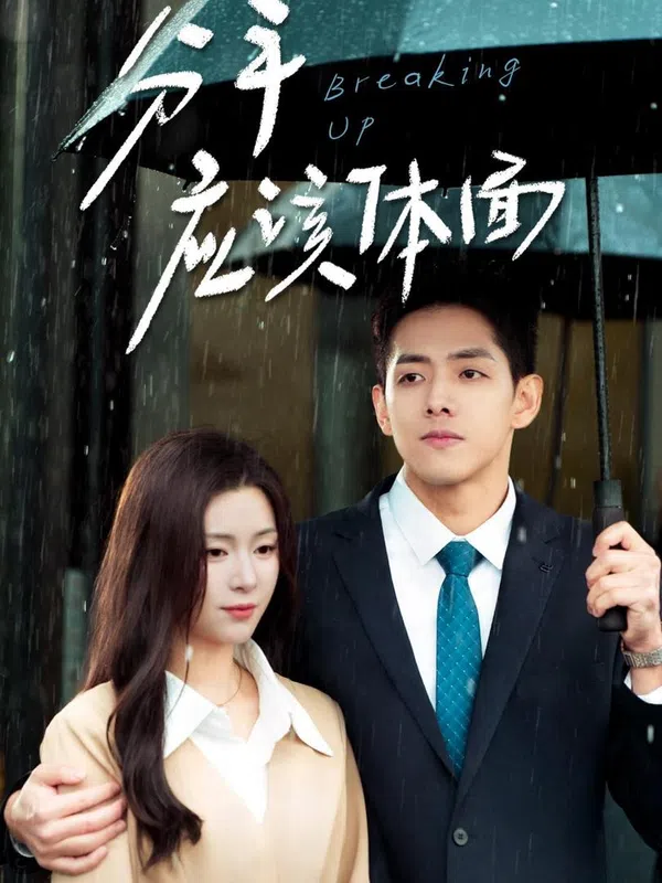 Poster phim Chia Tay Tử Tế trên SubNhanh