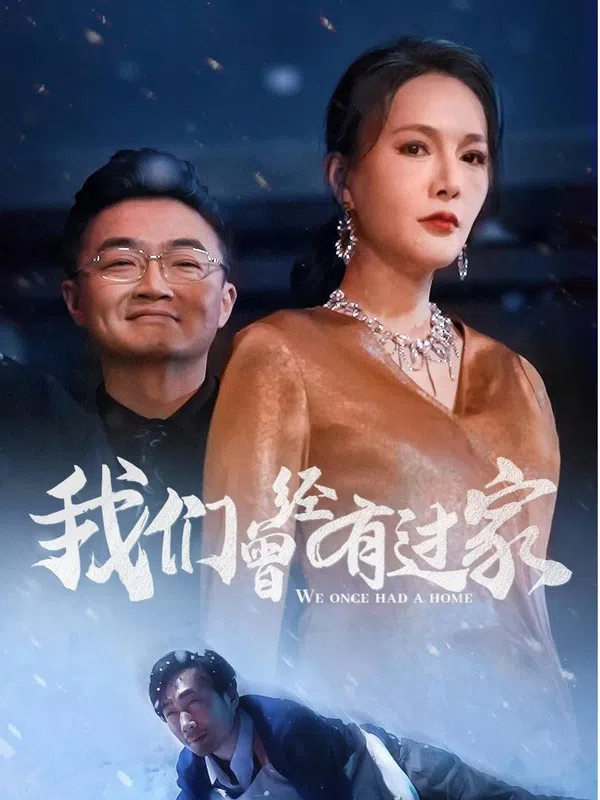 Poster phim Chúng Ta Đã Từng Có Một Gia Đình trên SubNhanh