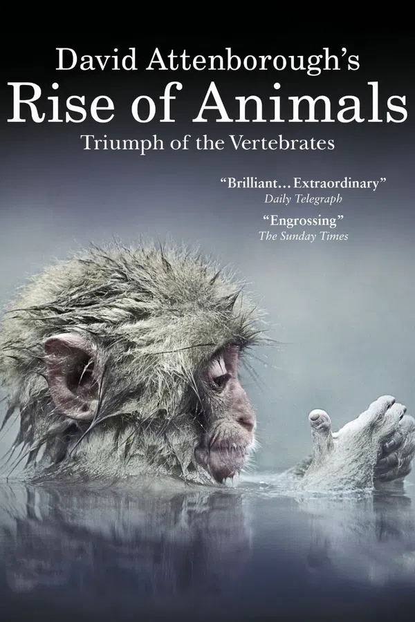Xem Phim David Attenborough's Rise of Animals: Triumph of the Vertebrates Vietsub HD Online