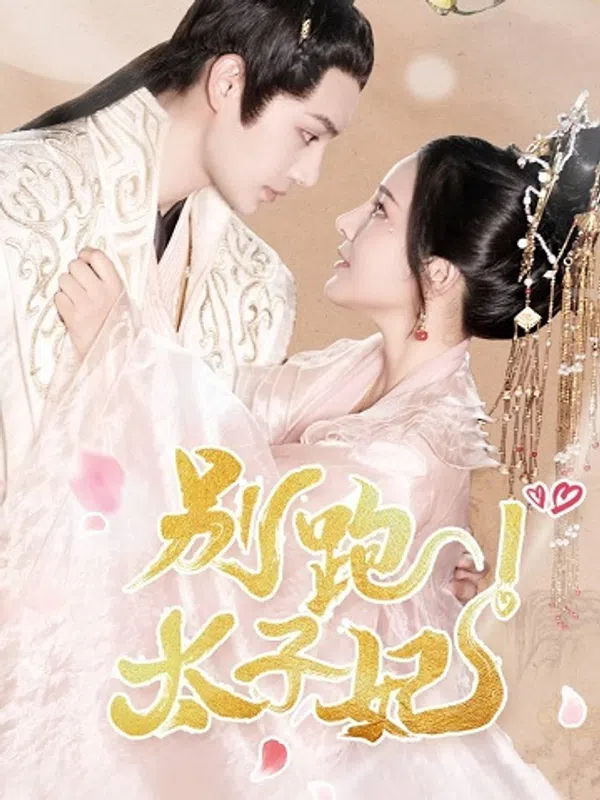 Poster phim Đừng Chạy, Thái Tử Phi trên SubNhanh