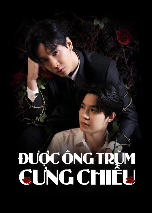 Xem Phim Được Ông Trùm Cưng Chiều Vietsub HD Online