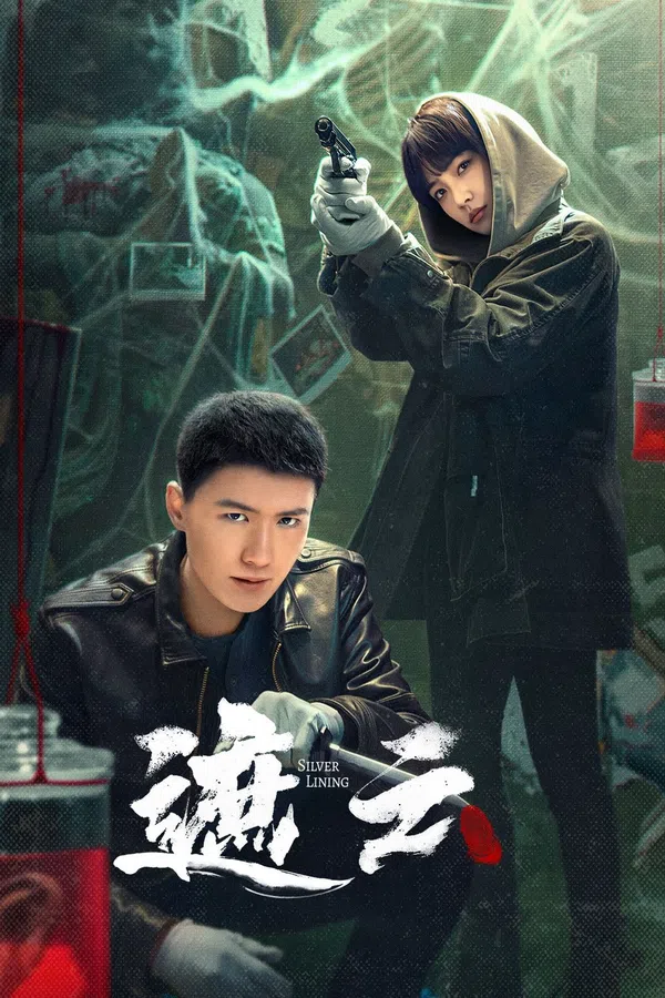 Poster phim Già Vân trên SubNhanh