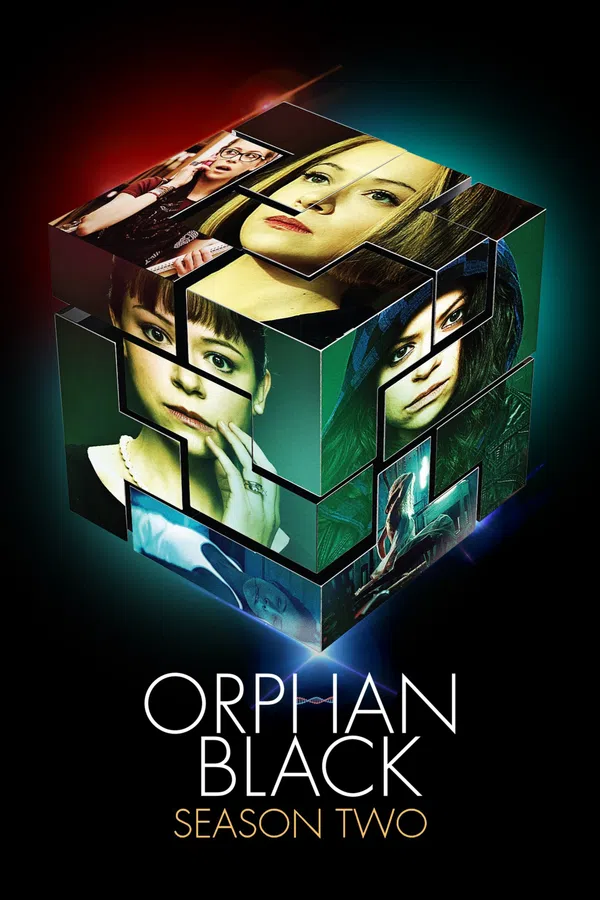Poster phim Hoán Vị (Phần 2) trên SubNhanh