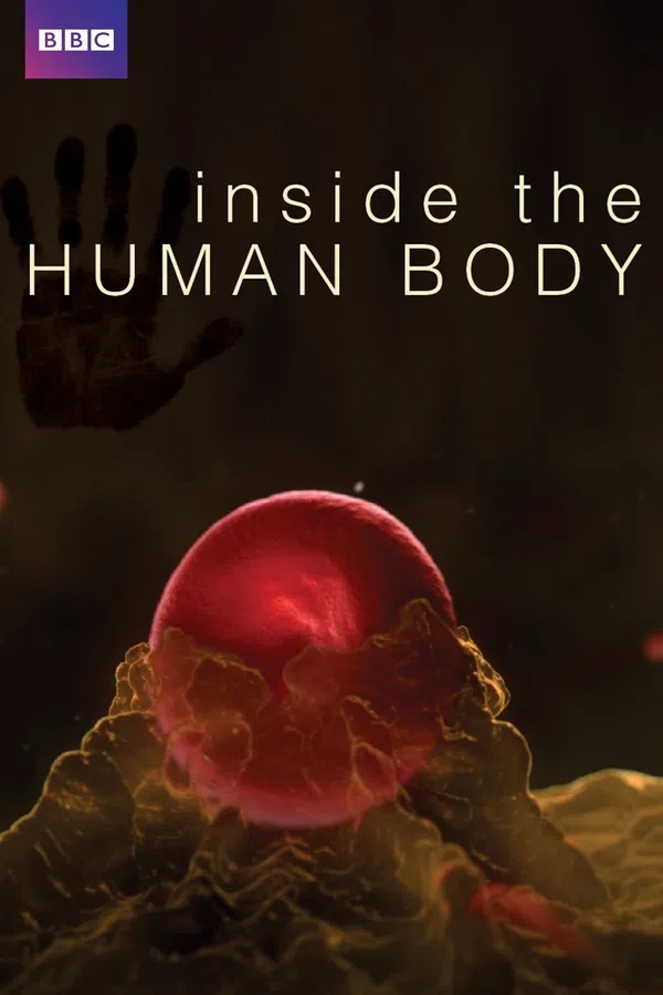 Xem Phim Inside the Human Body Vietsub HD Online