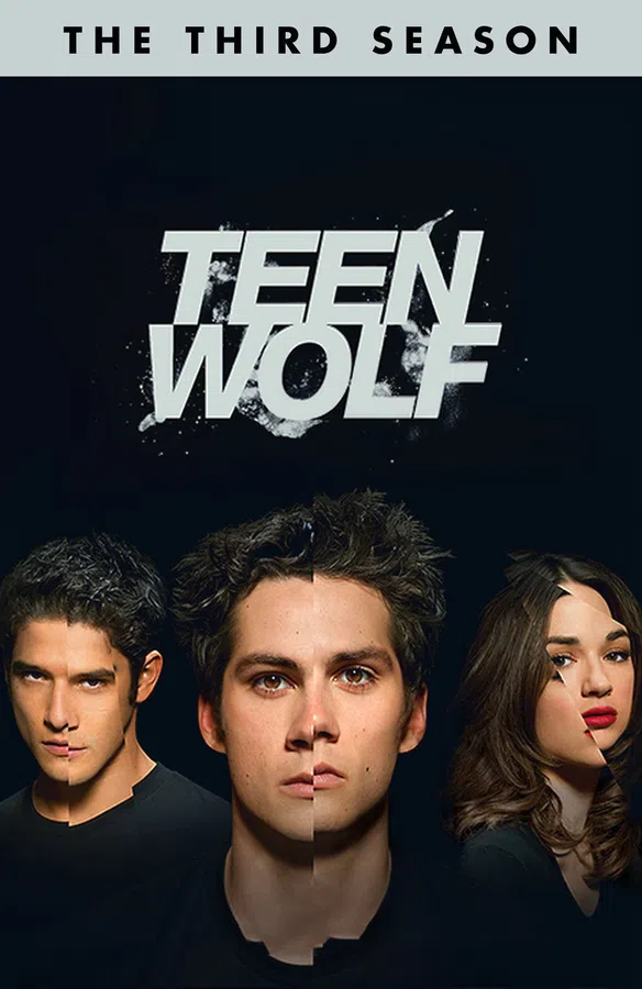 Poster phim Người Sói Tuổi Teen (Phần 3) trên SubNhanh