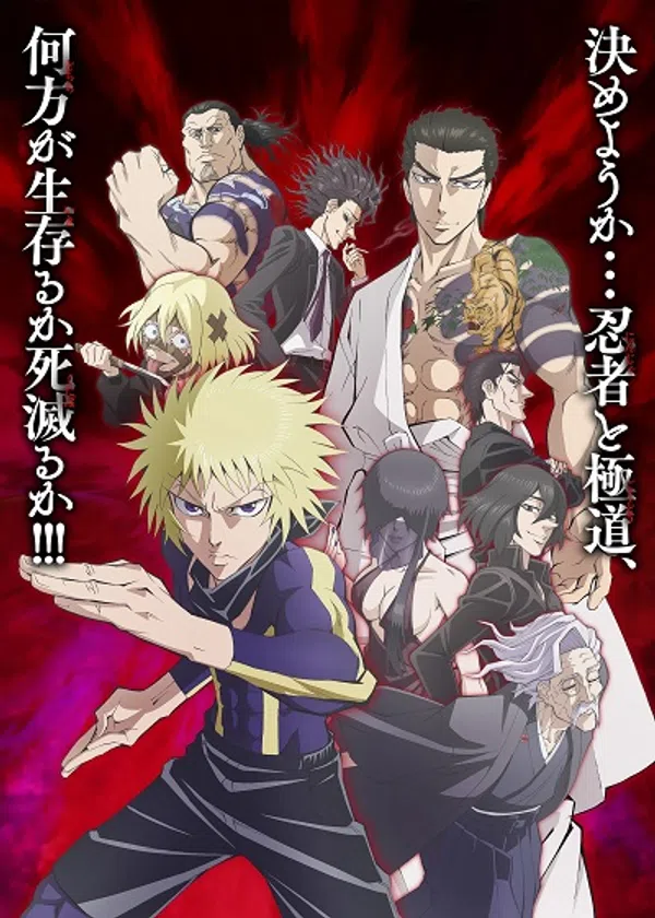 Poster phim Ninja to Gokudou trên SubNhanh
