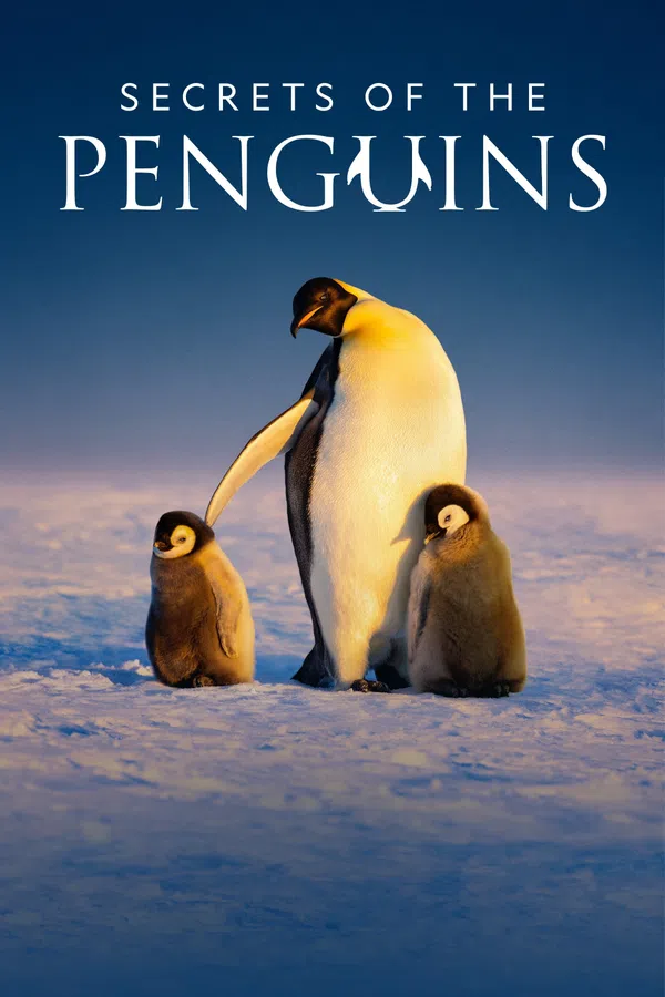Poster phim Secrets of the Penguins trên SubNhanh