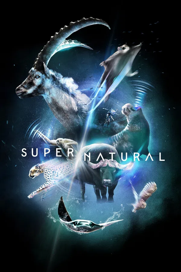 Xem Phim Super/Natural Vietsub HD Online