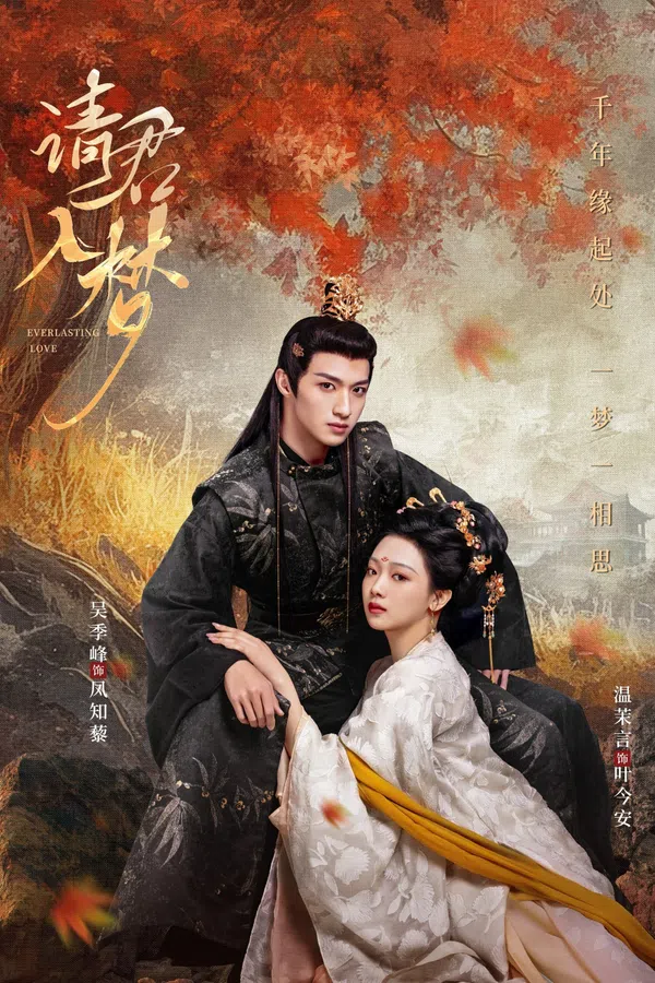 Poster phim Thỉnh Quân Nhập Mộng trên SubNhanh