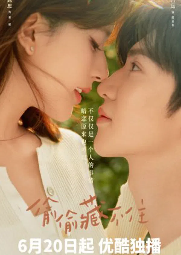 Poster phim Vụng Trộm Không Thể Giấu trên SubNhanh